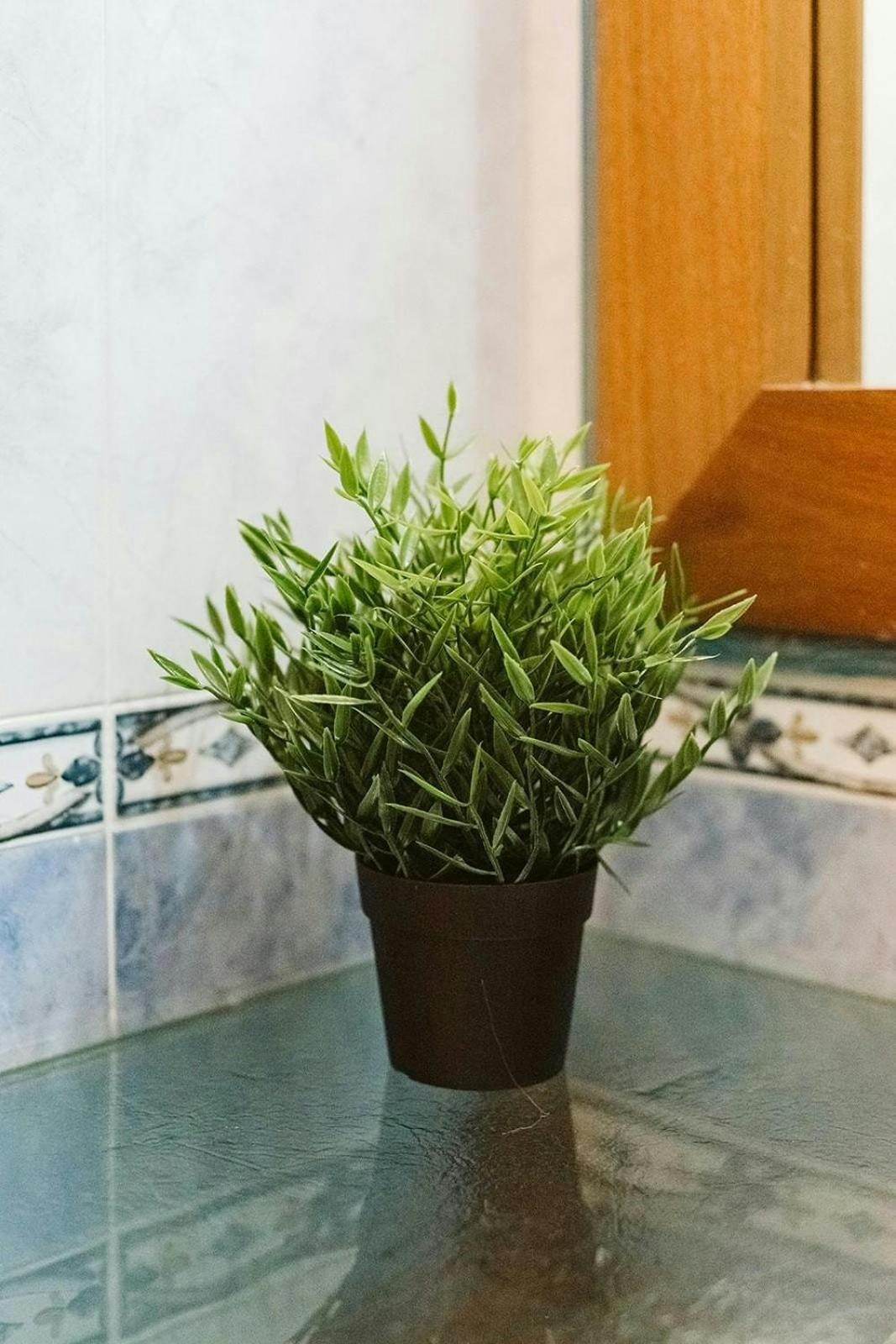Casa Begona - Wifi Sencillo Y Acogedor Apartment Sallent De Gallego Ngoại thất bức ảnh