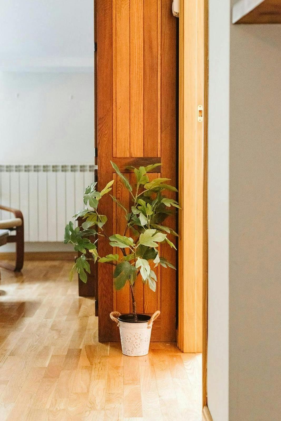 Casa Begona - Wifi Sencillo Y Acogedor Apartment Sallent De Gallego Ngoại thất bức ảnh